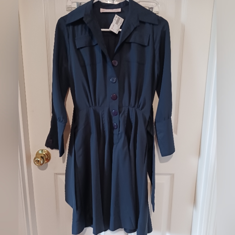 NWT! Carolina Williamson Dress.